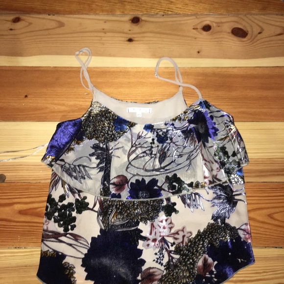 Willow and clay velvet cropped tank top - Picture 2 of 5